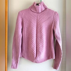 Ann Taylor Turtleneck Sweater